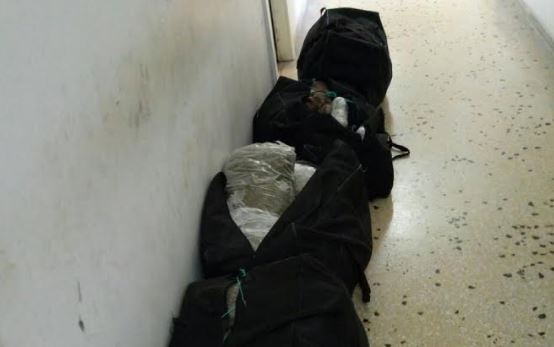 Kapen 63 kg kanabis në kufirin Shqipëri-Greqi