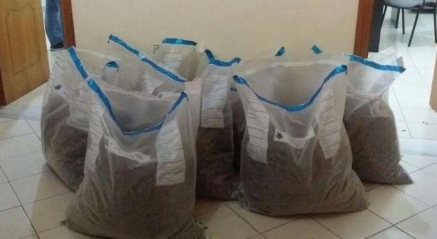 51 kg hashash i fshehur në shkurre, shpallen në kërkim dy vëllezërit