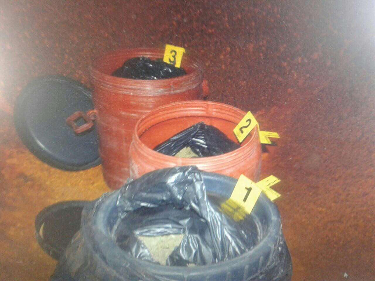 Kush fshihet pas tunelit me kanabis në Tepelenë?