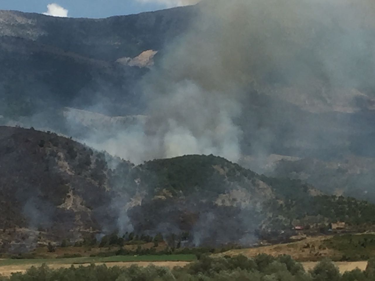 Gjirokastër, zjarr i madh pranë fshatit Hundëkuq, digjen 20 hektarë