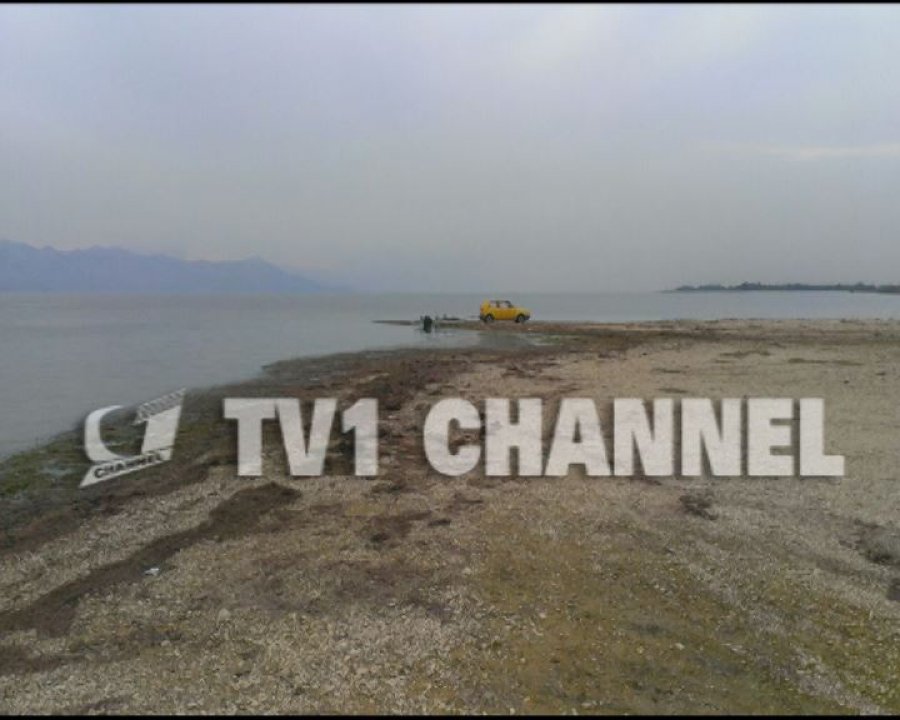 Tragjike, dy fëmijë, kushërinj me njëri-tjetrin mbyten në liqen