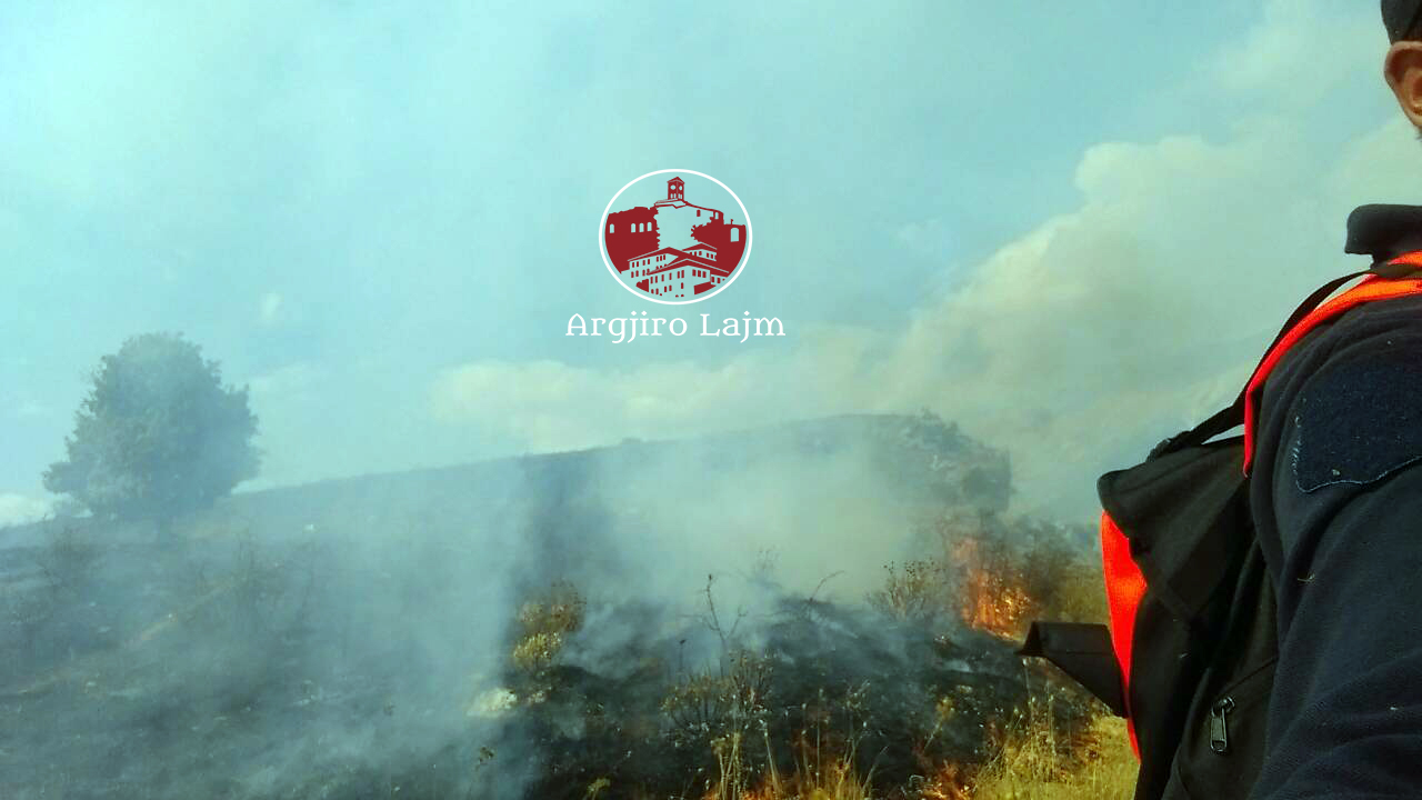 Gjirokastër, zjarr i madh në Parkun e Antigonesë (FOTO)
