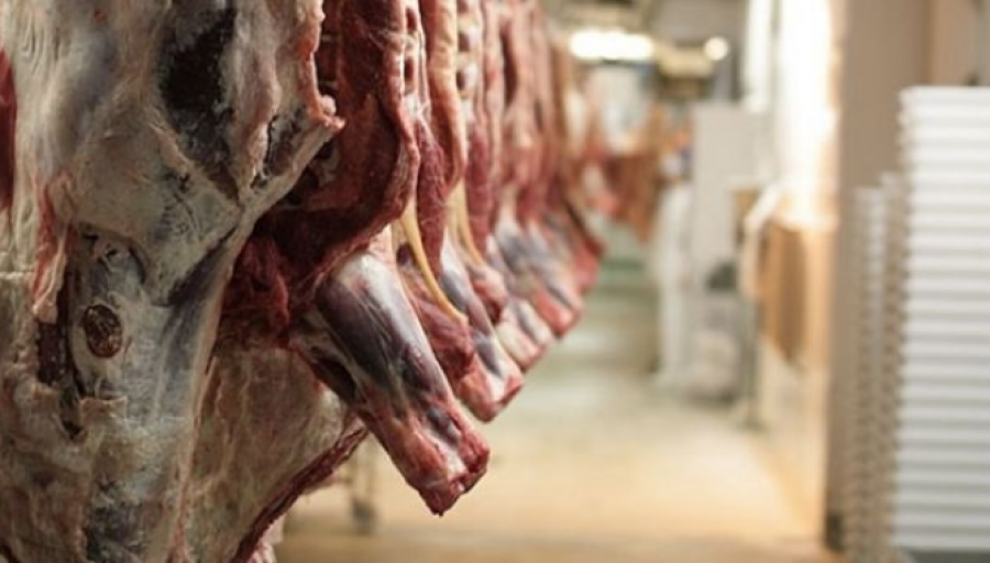 Ekspertët japin alarmin: Ja çfarë mishi po hanë shqiptarët