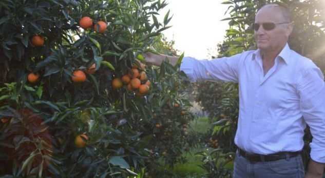 Njihuni me zv.ministrin e ri të Bujqësisë, Dhimo Kote që u pasurua me mandarina