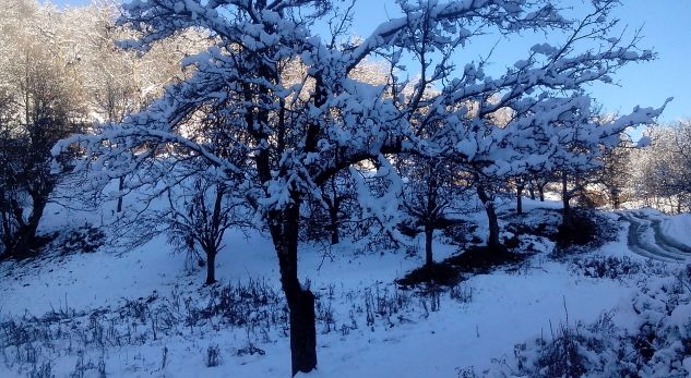 Këto janë qytetet ku sot ka rënë dëbora e parë