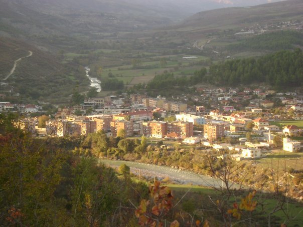 Për të qeshur dhe për të qarë, policia arreston një burrë në Këlcyrë… sepse po priste një pishë