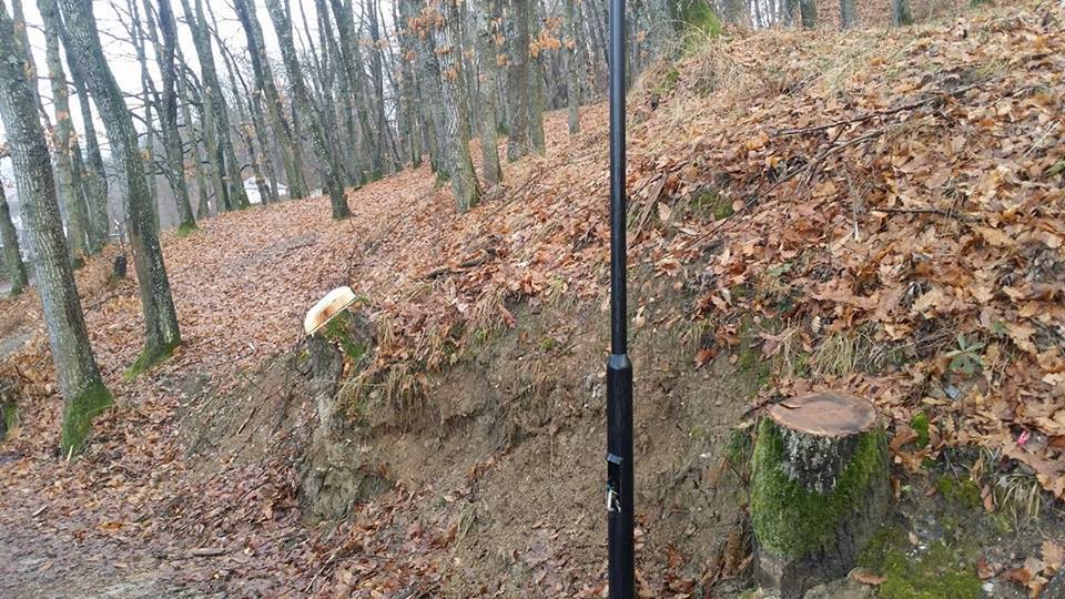 Shoqata ‘Zagoria’: Në krahinën tonë po abuzohet me prerjen e pyjeve