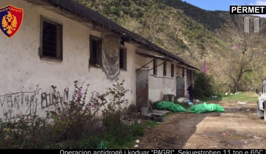 VIDEO/ Kjo është magazina me 12 ton kanabis në Përmet, pronari një 61-vjeçar