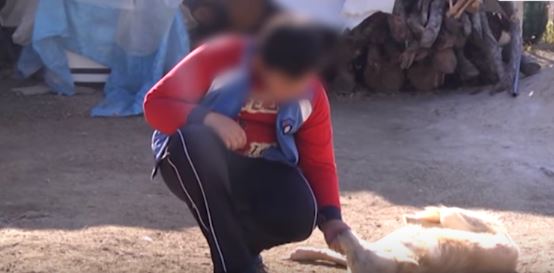 13-vjeçari nga Libohova me një sëmundje misterioze. Ka 10 muaj me temperaturë. Familja bën apel për ndihmë