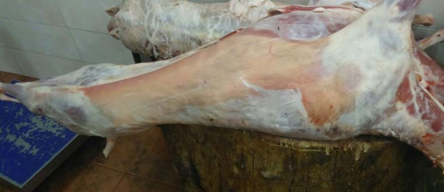 Sekuestrohen 800 kg mish në Gjirokastër, gjobitet me 1 milion lekë tregtari