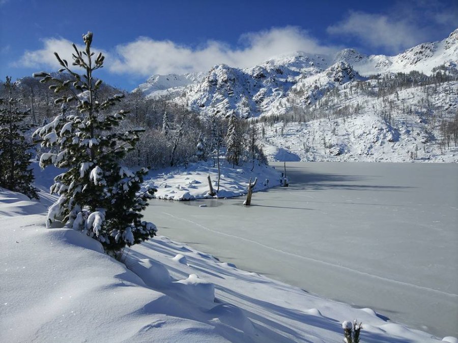 Sot nisin reshjet, priten intensive në dy qarqe