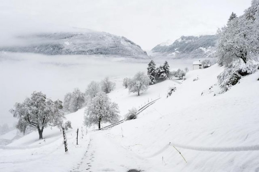Moti për fundjavën: Ja ku do bjerë borë