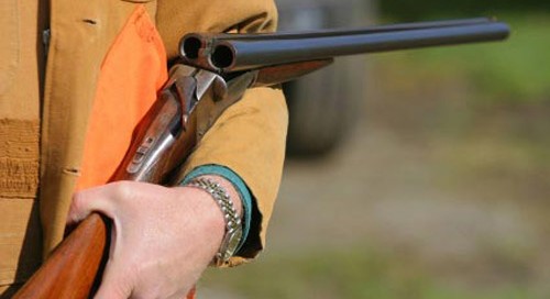 Gjirokastër, kallëzohet në Prokurori një person, kapet me çifte pa leje