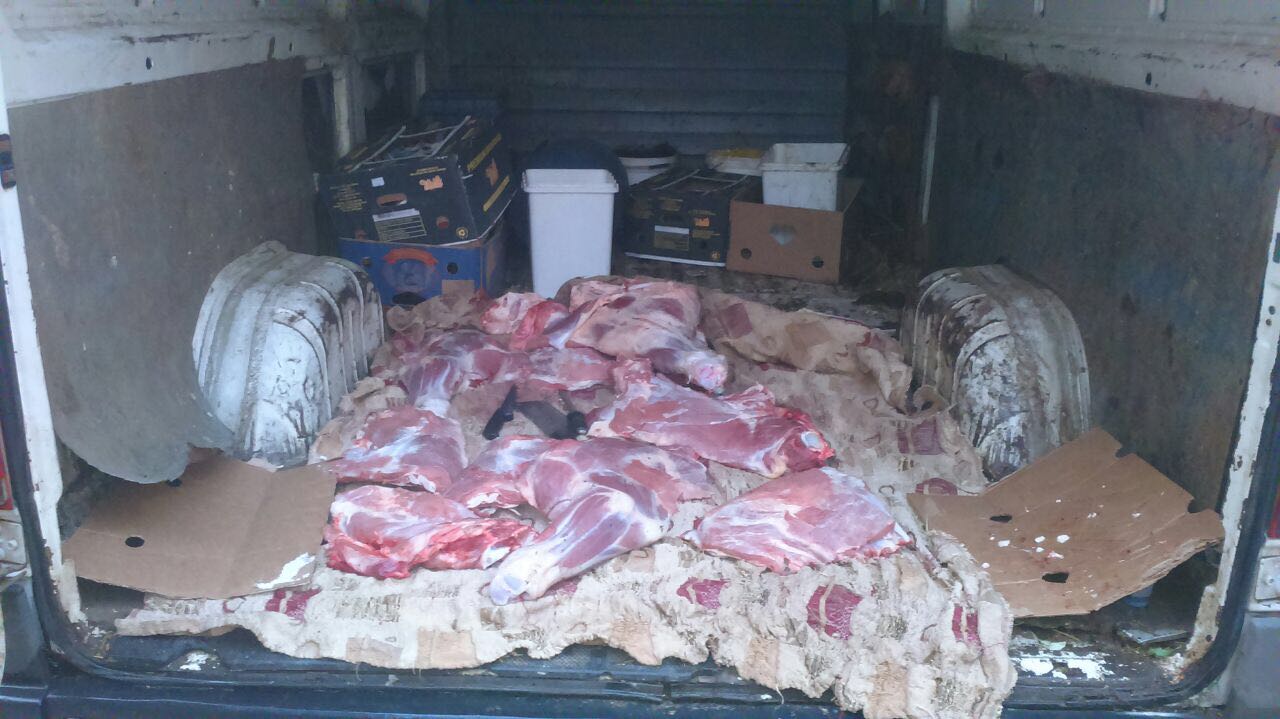 Skandaloze/ Shihni ku transportohet mishi që shkon për tregti në dyqane (FOTO)