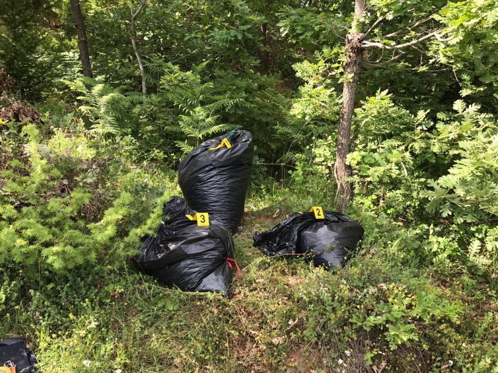 Po trafikonin drogë drejt kufirit grek, pranga tre shqiptarëve