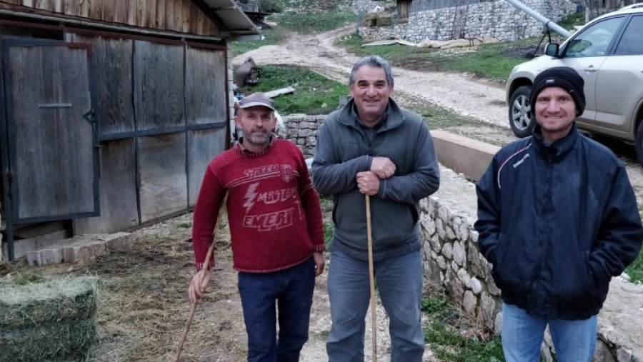 Më mirë çoban në Greqi me 400 euro në muaj, se i papunë në Shqipëri