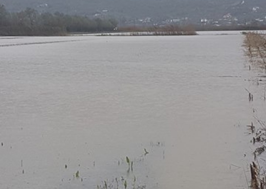 ‘Tërbohet’ Vjosa, në Memaliaj niveli i ujit deri në 8 metra