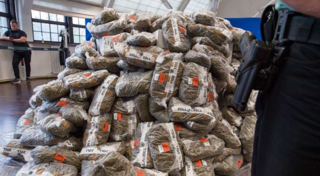 Kush është Plaku i Madh i kanabisit në Shqipëri, italianët në gjurmët e njeriut që drejton trafikun