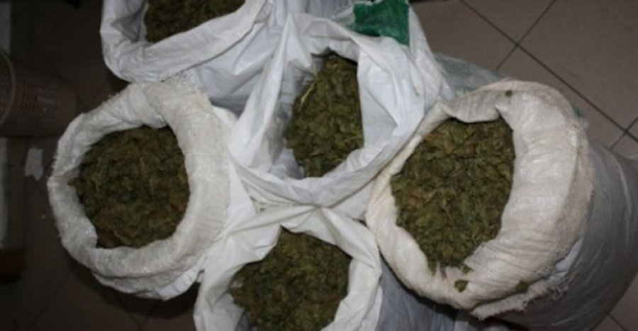 Zbulohet laborator droge, 5 të arrestuar, mes tyre edhe gra