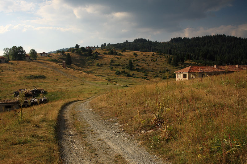 Greqi, gjendet kufoma e një të riu shqiptar. Mister rrethanat e vdekjes