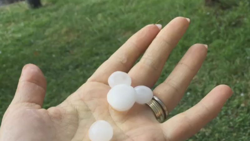 ‘Çmendet’ moti, shi e breshër në disa zona të vendit