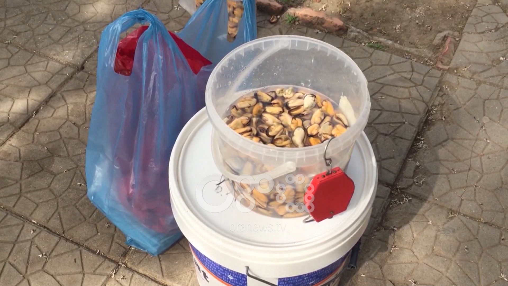 Kushte skandaloze, shihni si shiten midhjet në Sarandë