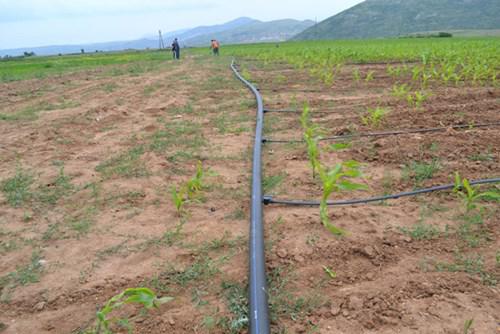 Tepelenë, arrestohet hajduti i tubave dhe pompave të ujit në Iliras