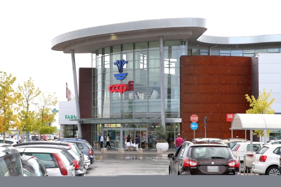 Vjedhje në qendrën tregtare, gruaja shqiptare arrestohet bashkë me djalin