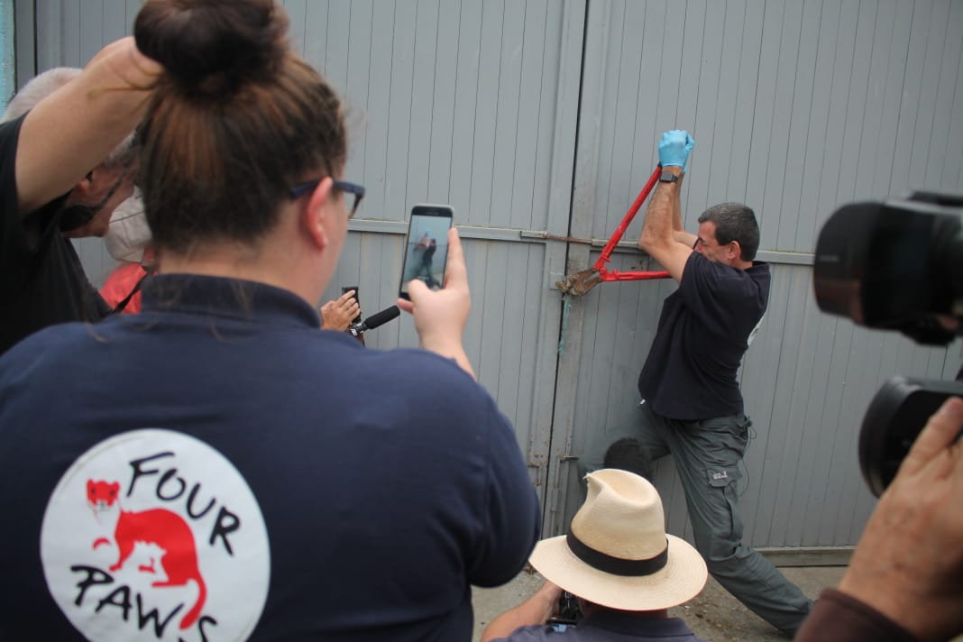Pamje të rënda/ Nxiren nga kopshti zoologjik i Fierit kafshët e sëmura (FOTO)