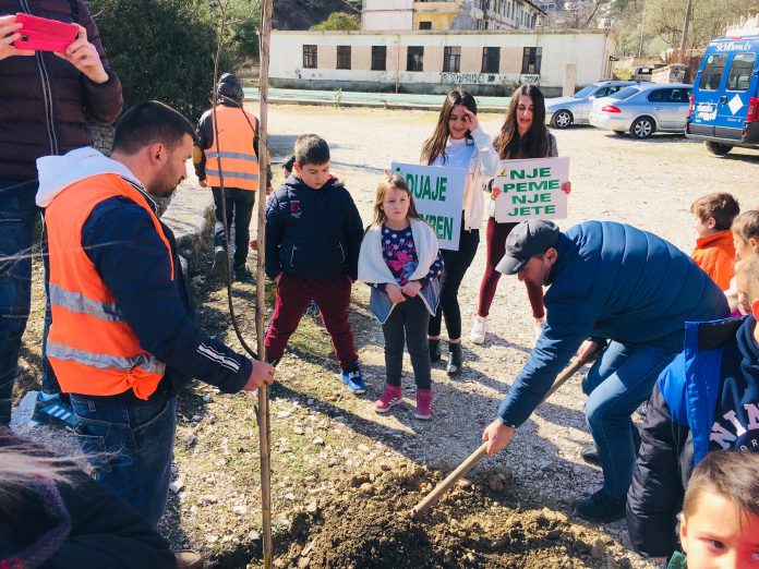 “KrijoO2tënd”, nxënësit në Gjirokastër mbjellin pemë në oborret e shkollave (FOTO)