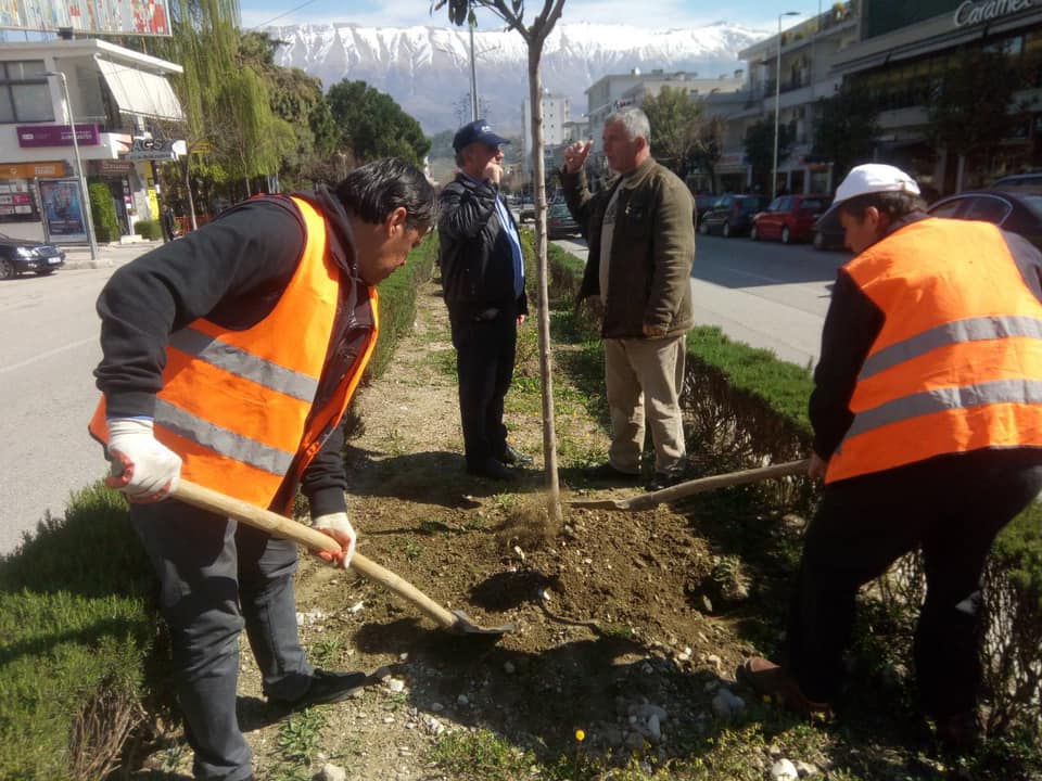 Gjirokastër, fushatë për mbjelljen e pemëve