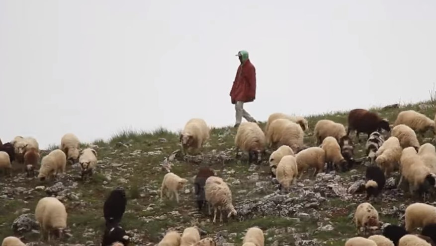 Rituali shekullor që po mbahet ende gjallë në jugun e Shqipërisë
