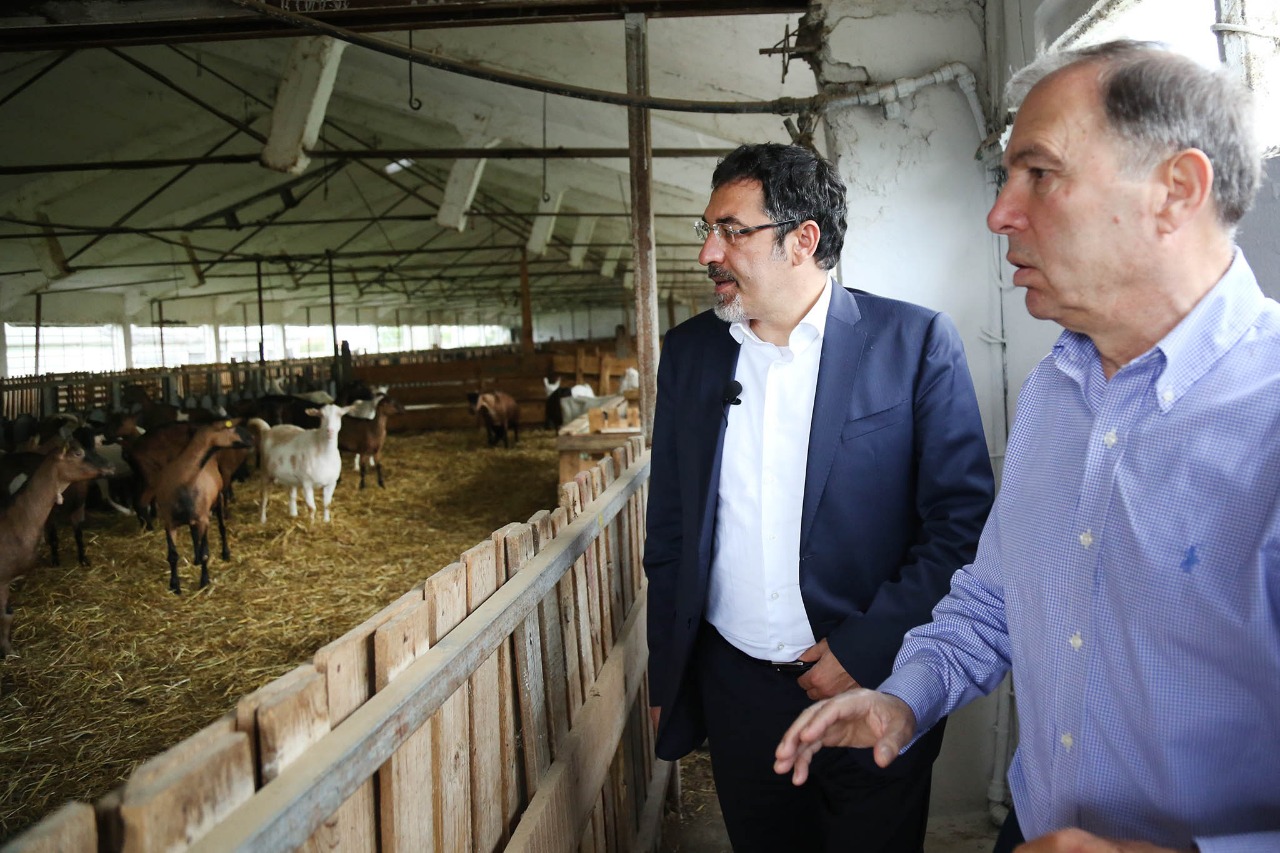 Ministri Çuçi viziton kompleksin blegtoral të Petrit Agos: Fermat me cikël të mbyllur garantojnë produkte me cilësi të lartë. Së shpejti paketë të veçantë për të mbështetur blegtorinë (FOTO)