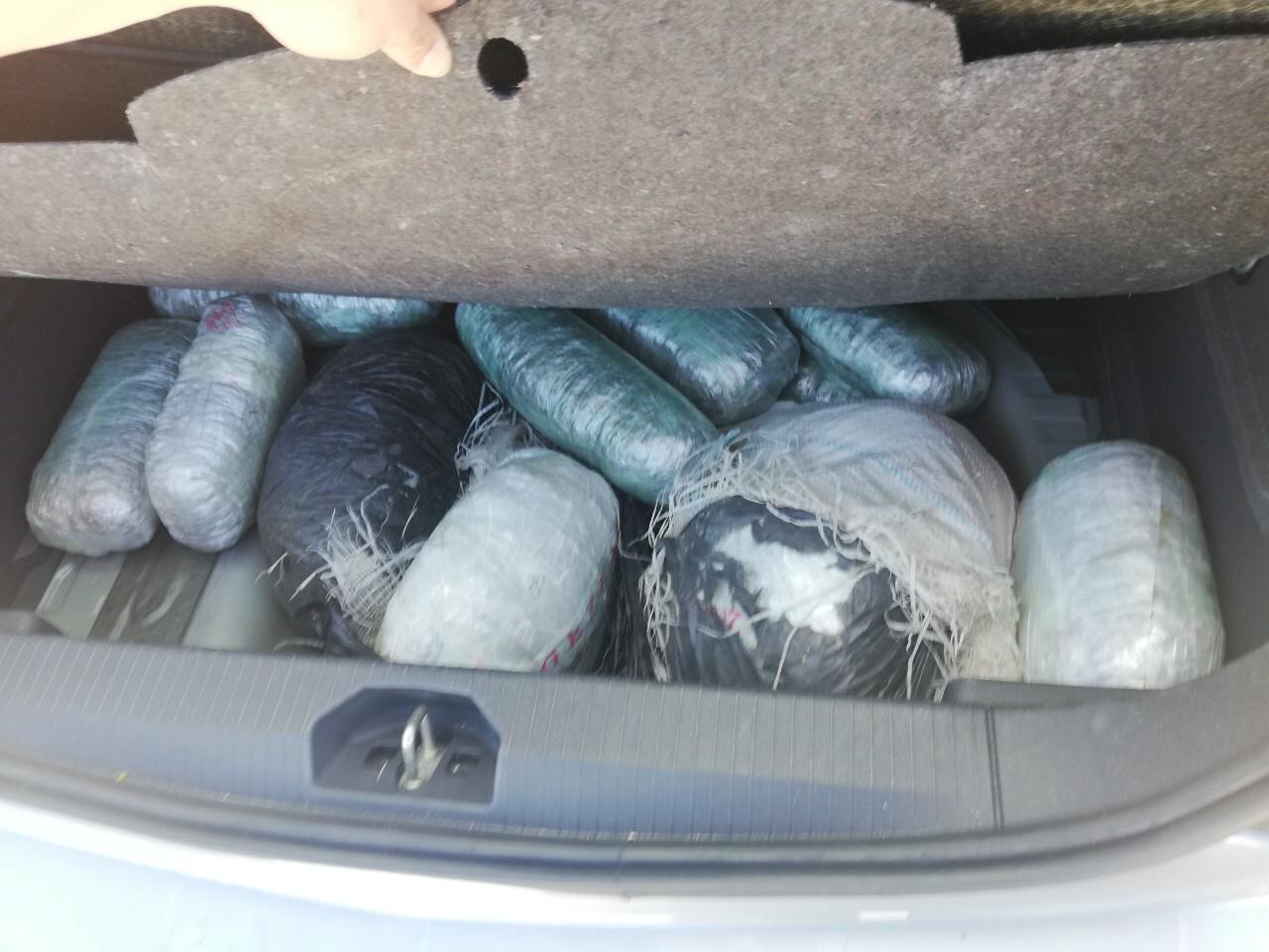 Kapen 28 pako kanabis në kufirin greko-shqiptar