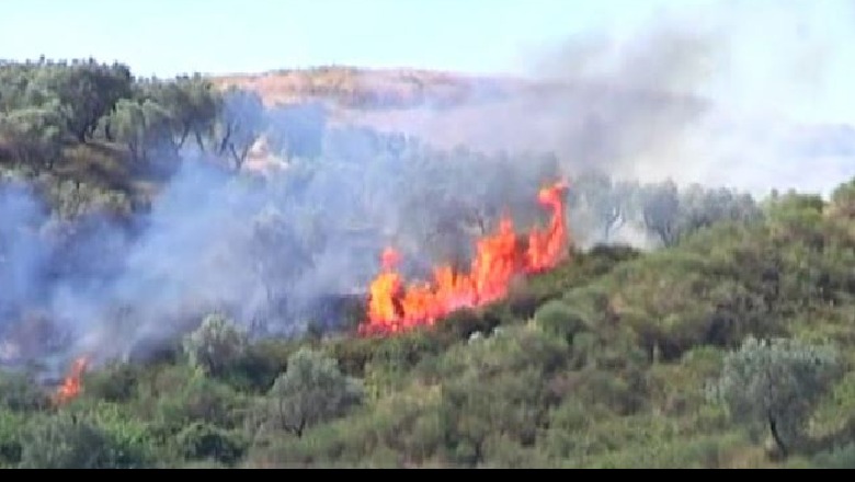 Finiq, një burrë kapet me çakmak në dorë duke u vënë zjarrin fushave me ullinj në shenjë hakmarrjeje