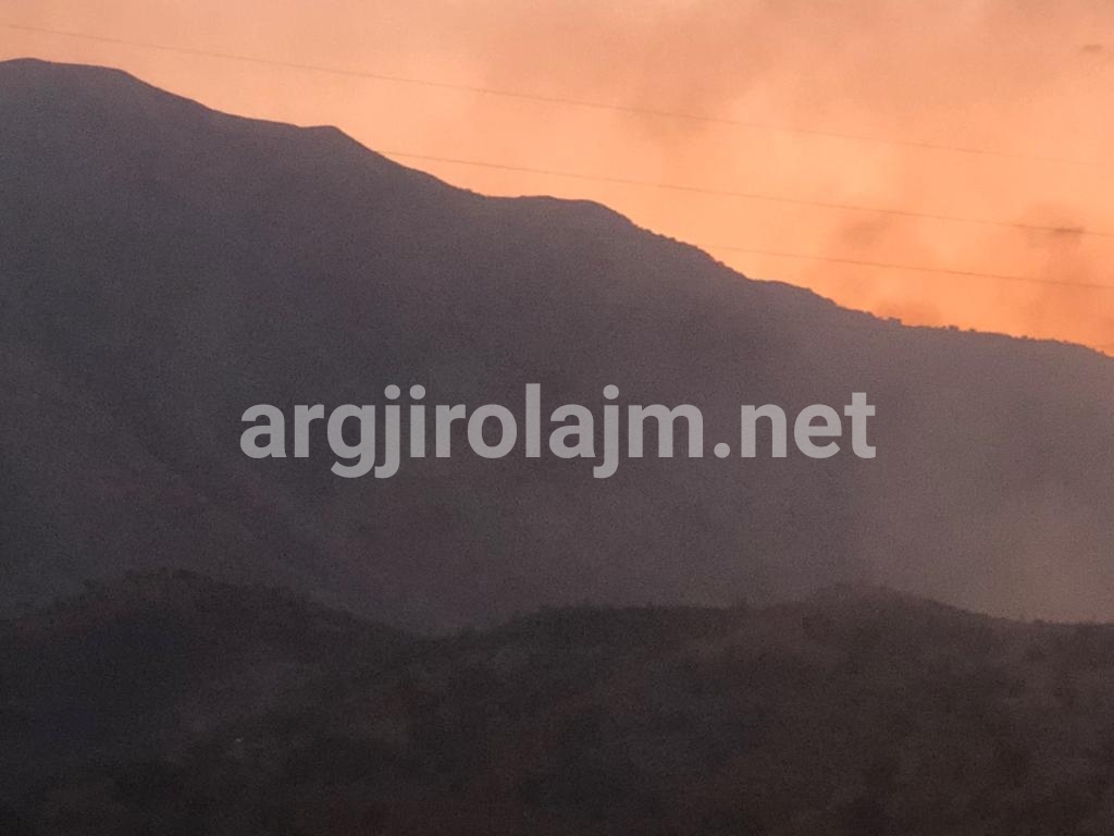 Gjirokastër, zjarr i madh në fshatin Mashkullorë