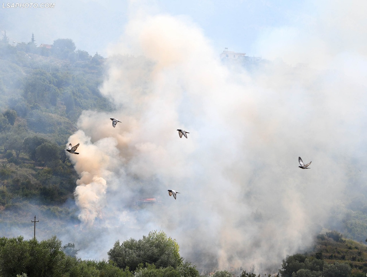 Jugu në flakë, vijojnë zjarret e qëllimshme (FOTO)
