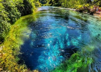 Anulohet “shitja” e Syrit të Kaltër/ Në ankand për 170 mijë lekë del një tjetër park natyror