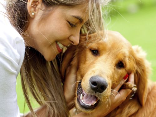 Studimi/ Pse mbajtja e një qeni të zgjat jetën