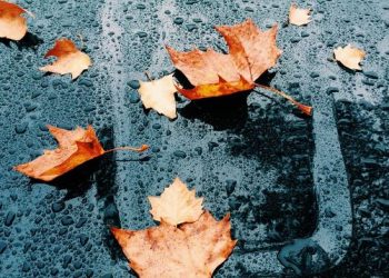 Tetori mbyllet me shi, nesër merrni çadrën me vete