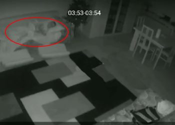 Pamje e pazakontë, qytetari në gjumë as që nuk e ndien tërmetin 6.4 ballë (VIDEO)