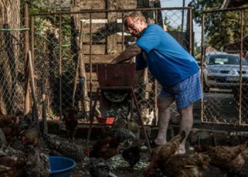 New York Times: Si po i vjedhin oligarkët milionat e Bashkimit Evropian