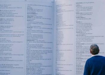 “Nuk dinë Gjuhën Shqipe”, profesori u vendos nota ngelëse politikanëve shqiptarë