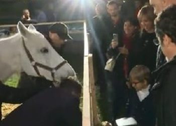 Rama shkon në panairin e bujqësisë me Zahon: Ti je katunar, i njeh mirë kafshët