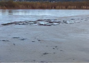 “Tërbohet” Vjosa, lumi del nga shtrati për shkak të prurjeve të shumta (VIDEO)