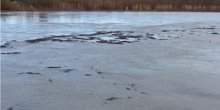 “Tërbohet” Vjosa, lumi del nga shtrati për shkak të prurjeve të shumta (VIDEO)