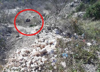 Makina bie në humnerë, vdesin dy tifozë, tre të plagosur rëndë