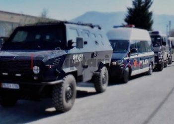 RENEA zbarkon në Gjirokastër, arrestohet i dyshuari për vrasje (Emri)