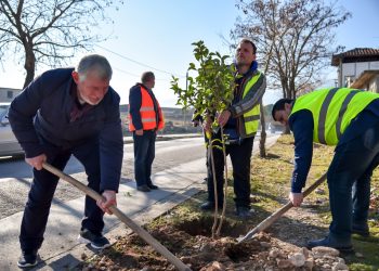 Gjirokastër, akte vandale në lagjen ‘Zinxhira’, dëmtohen pemët e mbjella një ditë më parë (FOTO)