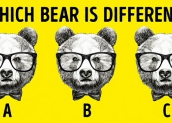 Vetëm 5% e njerëzve e kanë gjetur ndryshimin në këtë foto, po ju a mundeni?